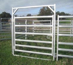 cattle gates