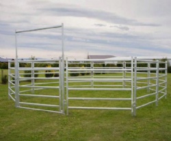cattle and horse yards